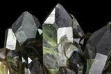 Dark Smoky Quartz Crystal Cluster - Brazil #108316-3